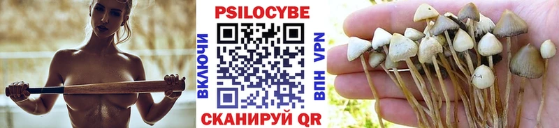 Галлюциногенные грибы мицелий  MEGA как зайти  Ялуторовск  где купить  