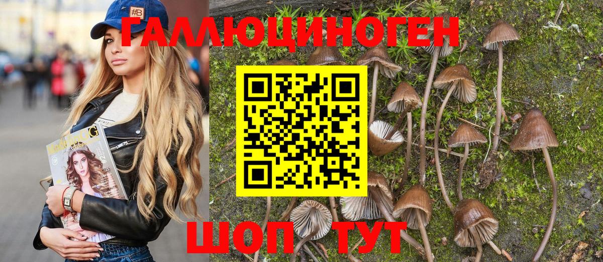 Псилоцибиновые грибы ЛСД Ялуторовск