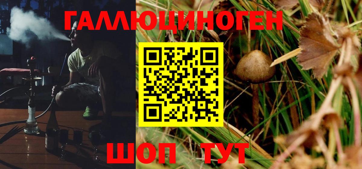 Галлюциногенные грибы Magic Shrooms  Галлюциногенные грибы мицелий  цена наркотик  Ялуторовск  Вход с VPN 